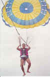 Minh parachutes.jpg (9310 bytes)